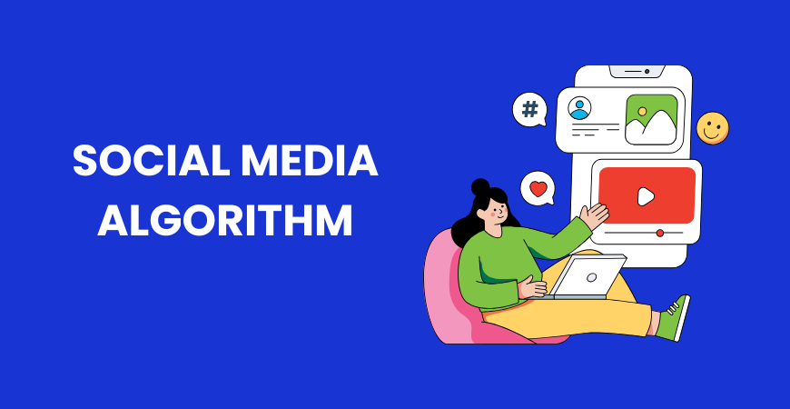 social media algorithm